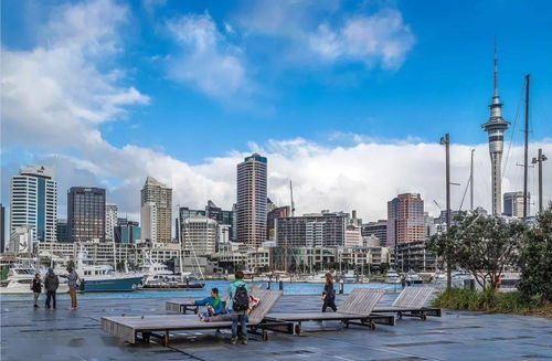 市中心 大學旁邊.文法校網.入門級公寓拍賣必售 may mark專業(yè)房地產銷售團隊