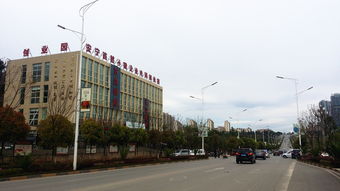 云南省農(nóng)業(yè)科學(xué)院科技產(chǎn)品電子商務(wù)營(yíng)銷中心成立