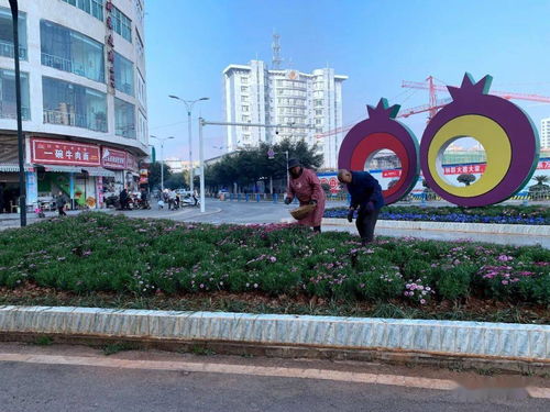 縣城管局扎實做好春節(jié)期間城市運行保障工作