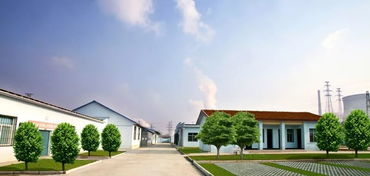 訪談 王茂清 創(chuàng)新現(xiàn)代城市服務(wù)業(yè)發(fā)展模式 創(chuàng)享宜居樂業(yè)美好生活