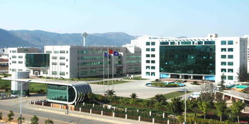 老年人專利病年輕化 越來越多的人需要這個(gè)產(chǎn)品