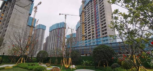 莆田與通遼市房地產(chǎn)行業(yè)調(diào)整營銷策略，暫停線下聚集性活動