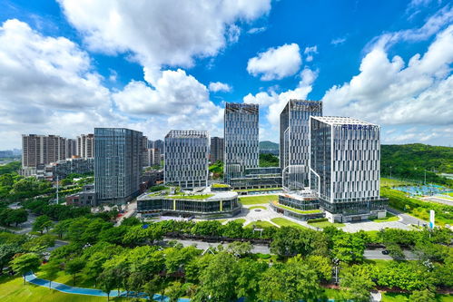 新城市志｜營商環(huán)境連續(xù)5年第一，廣州開發(fā)區(qū)憑什么？